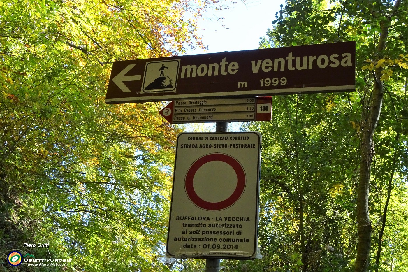 10 Imbocchiamo il sent. 136 per Passo di Grialeggio e Monte Venturosa.JPG